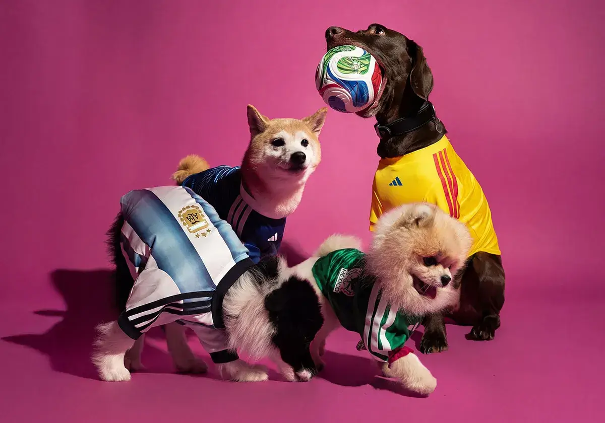 Adidas dog FIFA World Cup 2026 pet collection